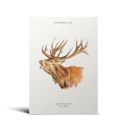 „Rozejrzyj się! Fascynujący świat polskiej przyrody” – plakat jeleń